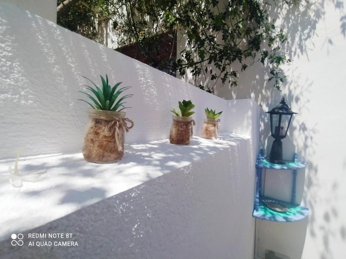 El Patio Daire El Campello Dış mekan fotoğraf